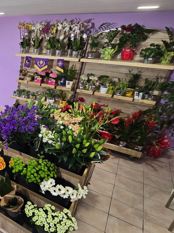 Fleurs fraîches du Royaume Fleuri